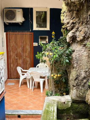NIDO DI FLORA